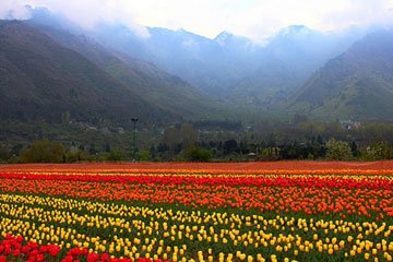 Srinagar-Kashmir 6 Days Tour Package